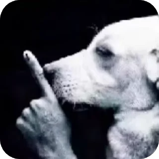 Video sticker 🤫 хмм