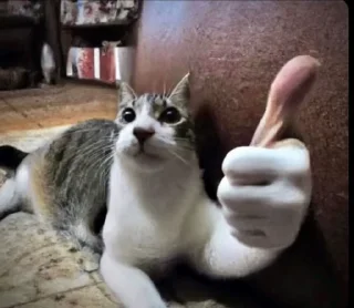 Video sticker 😘 хмм