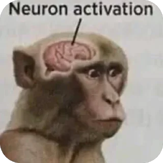 Telegram sticker 🫥 Nah I'd win