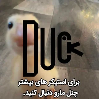 Video sticker 😂 @logicalists DuckAli