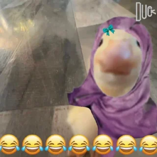 Telegram sticker 😂 @logicalists DuckAli