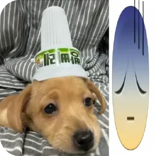 Telegram stiker 🐶 Не заходи сюда👉🏻 @sozdsti_bot
