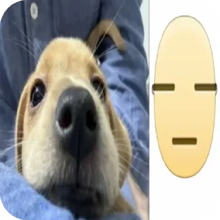 Telegram stiker 🐱 Не заходи сюда👉🏻 @sozdsti_bot