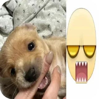 Telegram stiker 😌 Не заходи сюда👉🏻 @sozdsti_bot