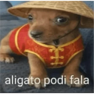 Video sticker 😊 oi posso fala