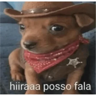 Telegram sticker 😊 oi posso fala