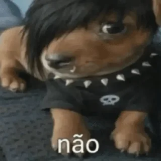 Video sticker 😊 oi posso fala