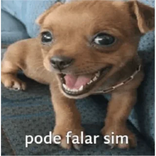 Video sticker 😊 oi posso fala