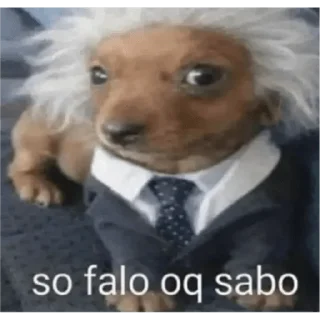 Telegram sticker 😊 oi posso fala