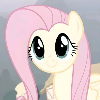 Video sticker ☺️ ꒰ Fluttershy ꒱ @plusikradom !