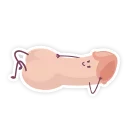Telegram sticker 😍 ВАСЯ