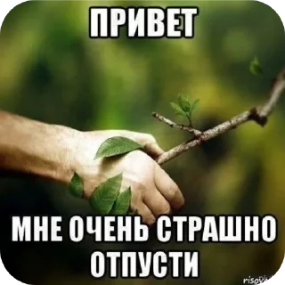 Video sticker 🖼 АнаисНекКьюти в прайме 2 @TgEmojiBot