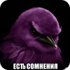 Video sticker 🌸 birds ➜ @emoji1