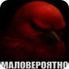 Video sticker 🐦 birds ➜ @emoji1