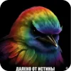 Video sticker 🐦 birds ➜ @emoji1