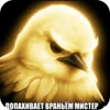 Video sticker 🐦 birds ➜ @emoji1
