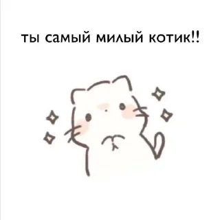 Video sticker 🌟 Ты зая <3 :: @alik_girlss :: @fStikBot