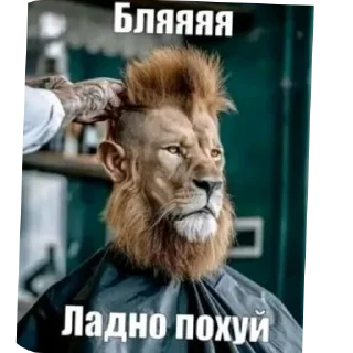 Telegram sticker 💇 Чудо ахаха