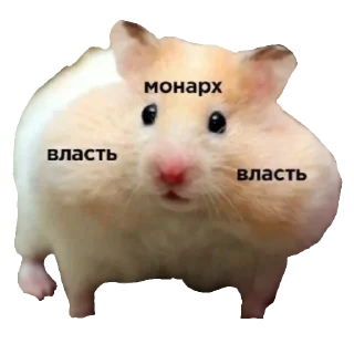 Telegram stiker 🐹 Российская Империя