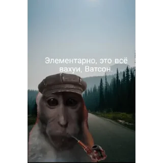 Telegram sticker 🐵 Набор стикеров от @Ctikerubot