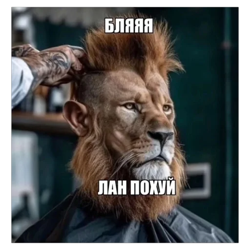 Telegram stiker 😀 лауэбуб