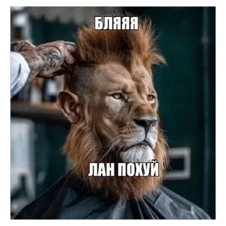 Video sticker 😀 лауэбуб