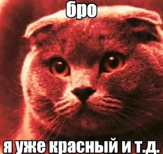 Video sticker 🤩 тородоёби @TgEmodziBot