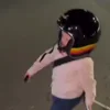 Video sticker 🧳 цы @TgEmojiBot