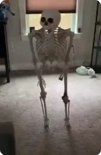 Video sticker 🌟 @just_kiann :: @fStikBot