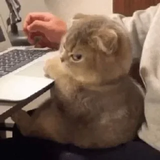 Telegram sticker 😠 stickers3 :: @fStikBot