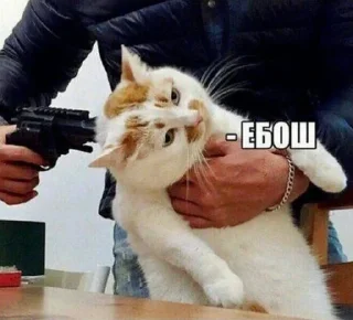 Telegram sticker 😢 stickers3 :: @fStikBot