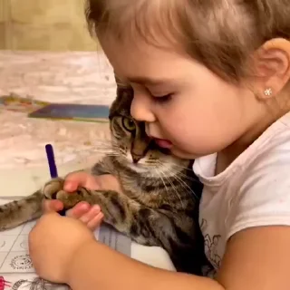 Video sticker 🫢 Cutiess✨🦋 ~ @stickarrpacks