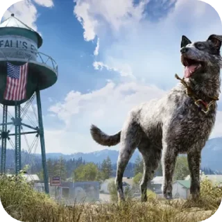 Video sticker 🐶 🌵