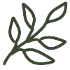 Video sticker 🌿 @andanastas_pishet...