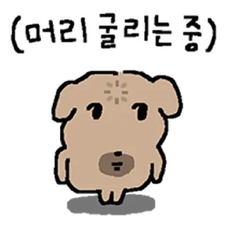 Video sticker ⭐ 회피형 멍멍이 김해피 @moe_sticker_bot