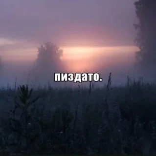 Video sticker 🌟 пиздато @pilotni :: @fStikBot