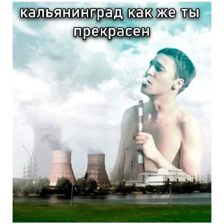 Telegram sticker 🍔 Больше стиков тут: @stikery4