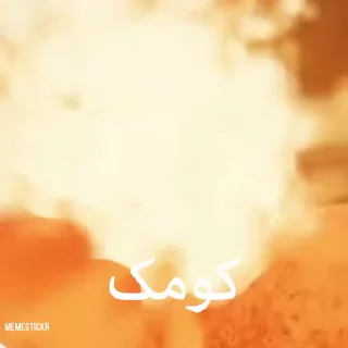 Video sticker 🦐 ⌜ @Memestickr ⌟ 🦐 مارکوس