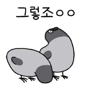Telegram sticker 💬 구구구구! 비둘기다조! By @KakaoEmoticon