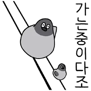 Telegram sticker 💬 구구구구! 비둘기다조! By @KakaoEmoticon