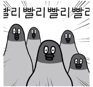 Telegram sticker 💬 구구구구! 비둘기다조! By @KakaoEmoticon