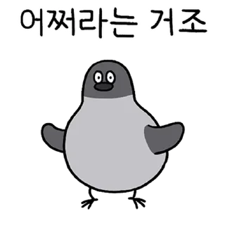 Telegram sticker 💬 구구구구! 비둘기다조! By @KakaoEmoticon