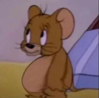 Telegram sticker 🫃 cnmb