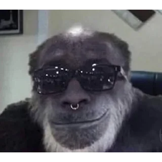 Video sticker 😎 subscribe to my channel - @monkeyrofl