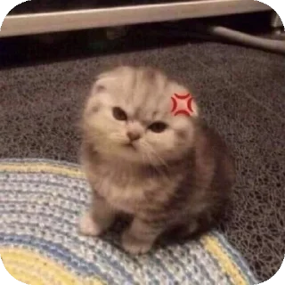 Telegram sticker 😡 Cuteness