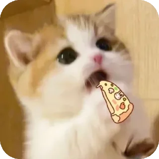 Telegram sticker 😣 Cuteness