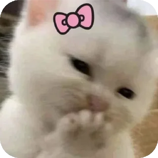 Telegram sticker 🤭 Cuteness