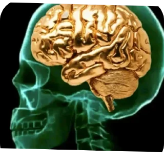 Telegram sticker 🤘 Больше стиков тут: @stikery4