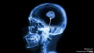 Video sticker 🌟 Больше стиков тут: @stikery4