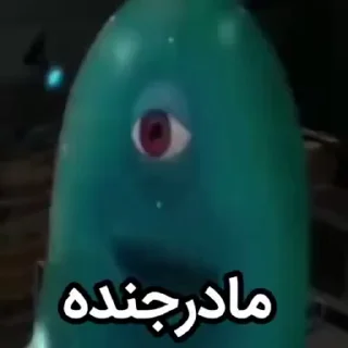 Video sticker 🐓 ⌜@Memestickr⌟  🐓  رندوم